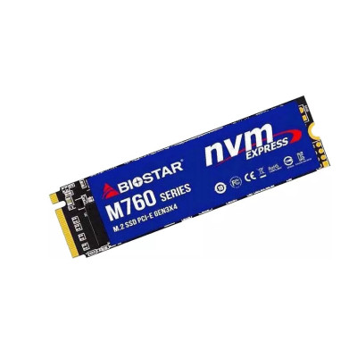 SSD BIOSTAR M760 256GB M760-256GB